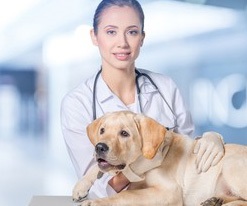 Crampe într-o varietate de câini, cauze, simptome și tratament