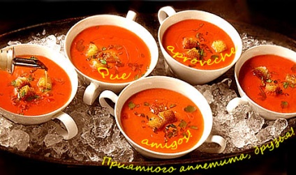 Soup gazpacho, toată viața de dragul visei și iubirii