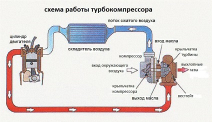 Schemele turbinei cu mâinile lor