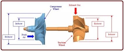 Schemele turbinei cu mâinile lor