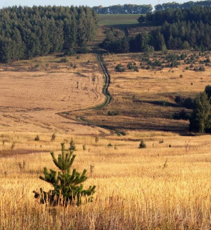 Tanaev ártéri rétek (alsó Kama), egy turisztikai és utazási hely