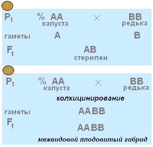 Examenul biologic 