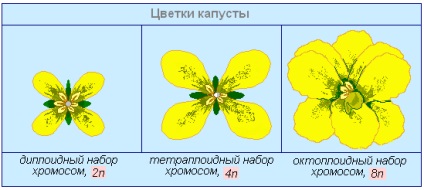 Examenul biologic 