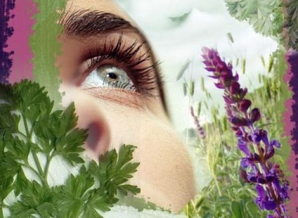 Fűszernövények szemészeti kezeléshez