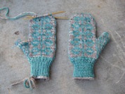 Mitten cu model