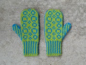 Mitten cu model