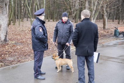 În parcul central a avut loc un raid privind pescuitul ilegal de câini - știri despre Tula și regiunea