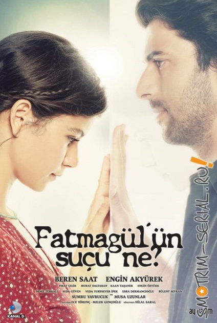 Care este vina lui Fatmagül - seria TV online
