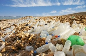 Care este pericolul de deșeuri de plastic?
