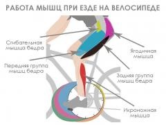 Care este beneficiul și răul unei biciclete