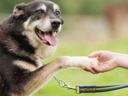 A vasárnapi vasárnap emberek jelképei és szertartása a boldogságért és a jólétért