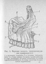 Maxilar superior, stomatologie ortopedică