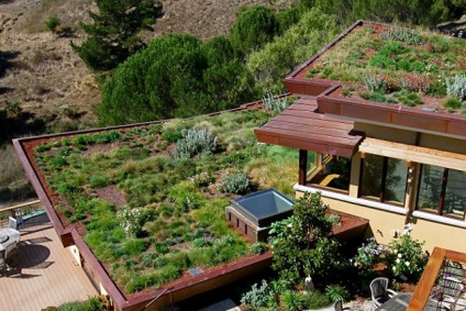 Un fel de verdeață cele mai iconice proiecte de arhitectură peisagistică
