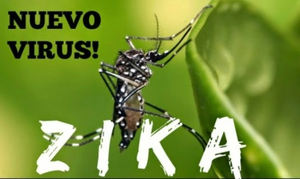 A vírus - zika - Abházia és az amerikai biológiai bázis Grúziában véletlen egybeesés,