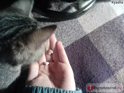 Vitamine beaphar kitty s junior - 