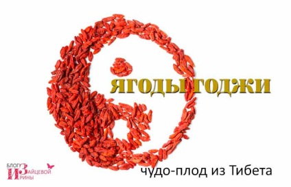 Goji fructe de padure