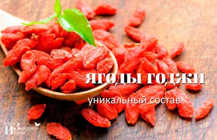 Goji fructe de padure