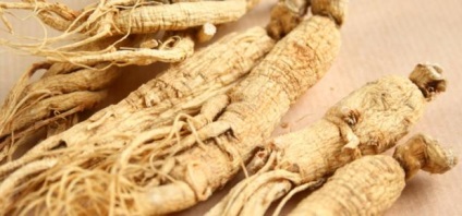 Ginseng proprietăți utile și contraindicații, rău, ginseng pentru bărbați