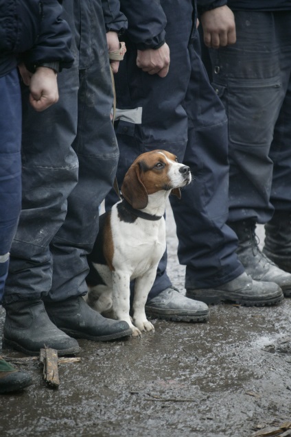 19 ani la serviciul Cățeluș de căutare