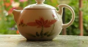 5 Rețete pentru prepararea ceaiului carcasă util