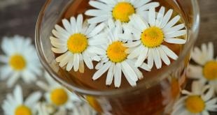 5 Receptek hasznos carcade tea elkészítéséhez