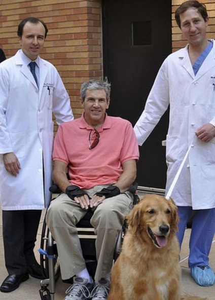 5 câini curajosi care ar putea salva mai mult de o viata umana