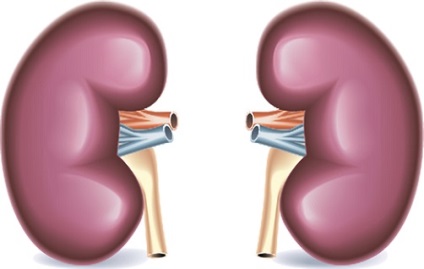 Amoxicilina cu eficacitate cistita si aplicare specifica