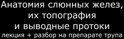 A szájüreg mirigyének anatómiája