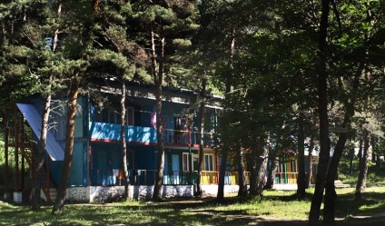 Centrul de recreere - dzyenga