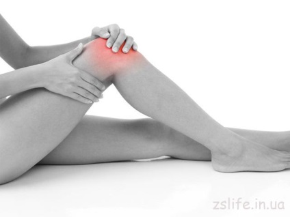 Protejați-vă genunchii, stil de viață sănătos