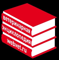 Biblioteca - Academia Veterinară - Obstetrică, ginecologie, Reproducere - instrucțiuni metodice