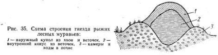 Biológiai módszer - stadopedia