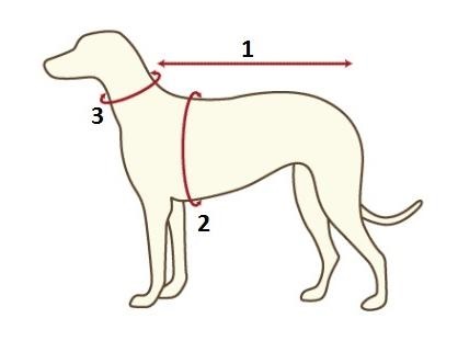 Blog - hogyan határozzuk meg a ruházat és lőszer méretét a kutyák számára, zoomaailm