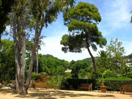Grădina Botanică din Marimurtra, blanes, spania - 50 fotografii și video