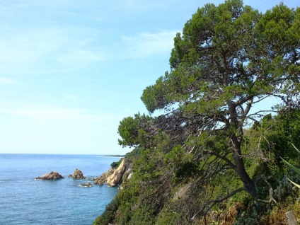 Grădina Botanică din Marimurtra, blanes, spania - 50 fotografii și video