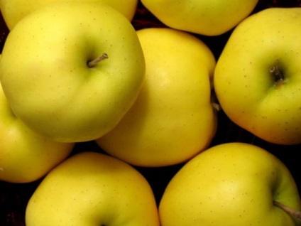 Ceea ce este bun pentru o varietate de mere este auriu, caracterizare, plantare și îngrijire