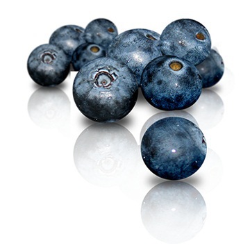 Blueberry, mandura este o afacere de mari posibilități!
