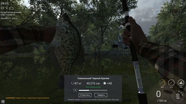 черно Crappie