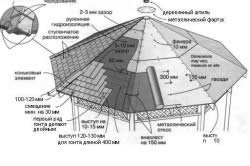 Desene de arbori din proiecte de lemn și etape de construcție