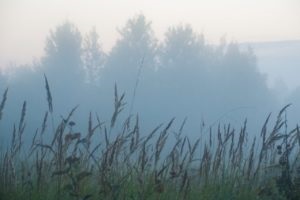 Ce pot fi construite pe terenuri agricole, mă pot înscrie la un astfel de amplasament