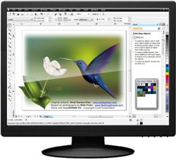 Editor grafic Coreldraw, lucrează în program, design web, cărți video