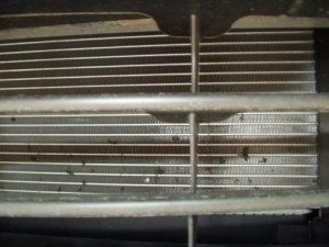 Plasă decorativă de pe radiator - nissan (nissan)