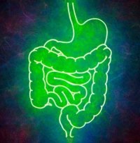 Disbacterioza intestinului