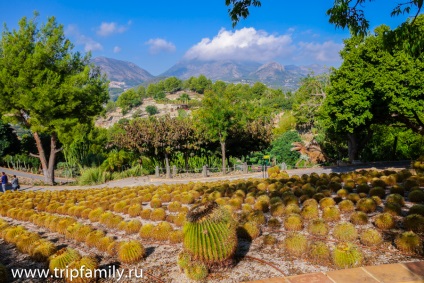 Obiectivele parcului sunt cactusii și dinozaurii, iar cascadele algarului, Ekaterina Batova -