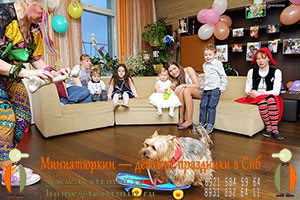 Câinii instruiți pentru petrecerea copiilor, ziua de naștere a copilului