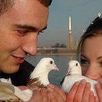 Animale de pregătire pentru o vacanță la comandă ieftină la Moscova