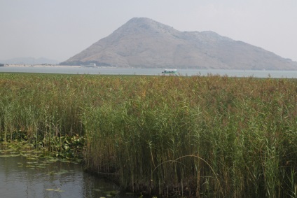 Kirándulás a Skadar tóhoz