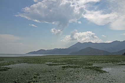 Excursie la Lacul Skadar