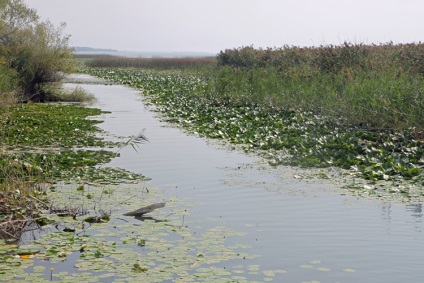 Excursie la Lacul Skadar