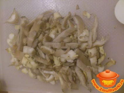 File de pui cu ciuperci de stridii în multivark - rețetă foto